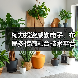 柯力投资威勤电子,布局多传感融合技术平台(图1) 柯力投资威勤电子,布局多传感融合技术平台(图1)