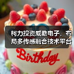 柯力投资威勤电子,布局多传感融合技术平台(图2) 柯力投资威勤电子,布局多传感融合技术平台(图2)
