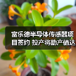 富乐德半导体传感器项目签约 投产将助产值达20亿(图4) 富乐德半导体传感器项目签约 投产将助产值达20亿(图4)