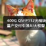 400G QSFP112光模块量产交付引领AI大模型光通信创新(图3) 400G QSFP112光模块量产交付引领AI大模型光通信创新(图3)