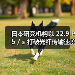 日本研究机构以 22.9 Pb / s 打破光纤传输速度纪录(图4) 日本研究机构以 22.9 Pb / s 打破光纤传输速度纪录(图4)