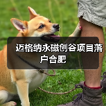 迈格纳永磁创谷项目落户合肥（图1）