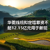 华菱线缆拟定增募资不超12.15亿元用于新能源用电缆等项目(图1) 华菱线缆拟定增募资不超12.15亿元用于新能源用电缆等项目(图1)