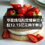华菱线缆拟定增募资不超12.15亿元用于新能源用电缆等项目(图4) 华菱线缆拟定增募资不超12.15亿元用于新能源用电缆等项目(图4)