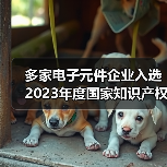 多家电子元件企业入选2023年度国家知识产权示范企业和优秀企业(图4) 多家电子元件企业入选2023年度国家知识产权示范企业和优秀企业(图4)