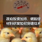 政府投资加持，铌酸锂材料研发如何突破技术瓶颈？（图3）