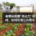 崔根良担纲 崔根良担纲