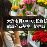 大洋电机1000万投资新能源产业基金,协同效应如何释放?(图3) 大洋电机1000万投资新能源产业基金,协同效应如何释放?(图3)