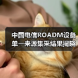 中国电信ROADM设备单一来源集采结果揭晓 四厂商中标(图3) 中国电信ROADM设备单一来源集采结果揭晓 四厂商中标(图3)