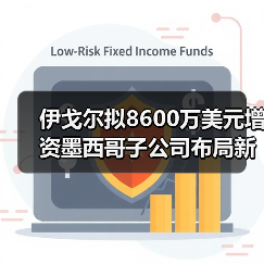 伊戈尔拟8600万美元增资墨西哥子公司布局新能源基地(图4) 伊戈尔拟8600万美元增资墨西哥子公司布局新能源基地(图4)