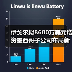 伊戈尔拟8600万美元增资墨西哥子公司布局新能源基地(图1) 伊戈尔拟8600万美元增资墨西哥子公司布局新能源基地(图1)
