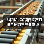 益阳MLCC项目投产打造全球前三产业基地(图4) 益阳MLCC项目投产打造全球前三产业基地(图4)