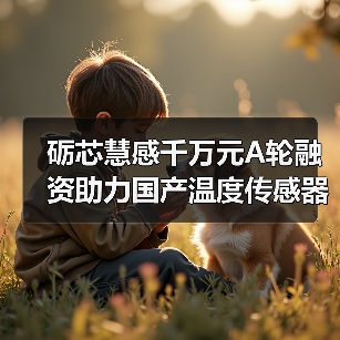 砺芯慧感千万元A轮融资助力国产温度传感器突围（图3）