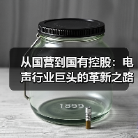 从国营到国有控股:电声行业巨头的革新之路(图3) 从国营到国有控股:电声行业巨头的革新之路(图3)