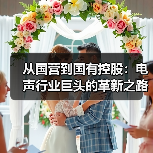 从国营到国有控股:电声行业巨头的革新之路(图4) 从国营到国有控股:电声行业巨头的革新之路(图4)