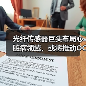 光纤传感器巨头布局心脏病领域，或将推动OCT技术革新？（图2）