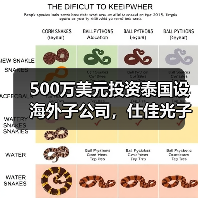 500万美元投资泰国设海外子公司,仕佳光子布局全球市场(图4) 500万美元投资泰国设海外子公司,仕佳光子布局全球市场(图4)