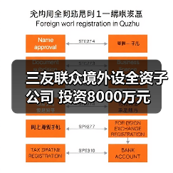 三友联众境外设全资子公司 投资8000万元(图1) 三友联众境外设全资子公司 投资8000万元(图1)