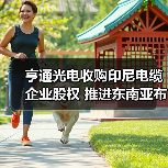 亨通光电收购印尼电缆企业股权 推进东南亚布局(图4) 亨通光电收购印尼电缆企业股权 推进东南亚布局(图4)