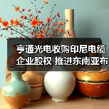 亨通光电收购印尼电缆企业股权 推进东南亚布局(图2) 亨通光电收购印尼电缆企业股权 推进东南亚布局(图2)
