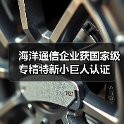 海洋通信企业获国家级专精特新小巨人认证(图3) 海洋通信企业获国家级专精特新小巨人认证(图3)