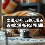 太辰光600万美元增资香港设越南孙公司强推国际化(图4) 太辰光600万美元增资香港设越南孙公司强推国际化(图4)