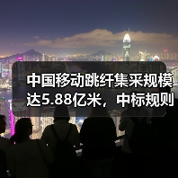 中国移动跳纤集采规模达5.88亿米，中标规则如何？（图4）
