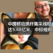 中国移动跳纤集采规模达5.88亿米，中标规则如何？（图1）