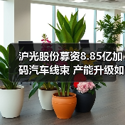沪光股份募资8.85亿加码汽车线束 产能升级如何应对增长需求(图2) 沪光股份募资8.85亿加码汽车线束 产能升级如何应对增长需求(图2)