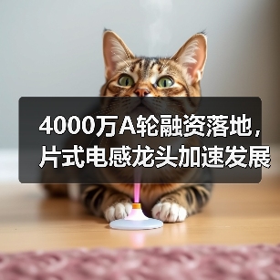 4000万A轮融资落地,片式电感龙头加速发展(图3) 4000万A轮融资落地,片式电感龙头加速发展(图3)