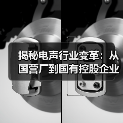 揭秘电声行业变革：从国营厂到国有控股企业的创新之路（图2）