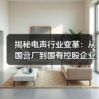 揭秘电声行业变革：从国营厂到国有控股企业的创新之路（图1）