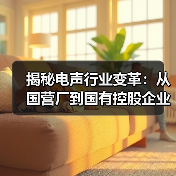 揭秘电声行业变革：从国营厂到国有控股企业的创新之路（图3）