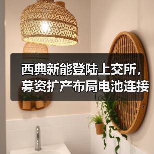 西典新能登陆上交所,募资扩产布局电池连接系统(图2) 西典新能登陆上交所,募资扩产布局电池连接系统(图2)