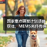 国家重点研发计划项目获批,MEMS光纤传感器技术突破传统瓶颈(图2) 国家重点研发计划项目获批,MEMS光纤传感器技术突破传统瓶颈(图2)