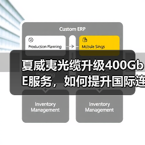 夏威夷光缆升级400GbE服务，如何提升国际连接？（图1）