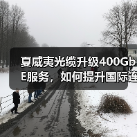 夏威夷光缆升级400GbE服务，如何提升国际连接？（图2）