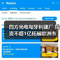 四方光电匈牙利建厂 投资不超1亿拓展欧洲市场（图4）