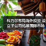 科力尔布局海外投资 设立子公司拓展国际市场（图1）