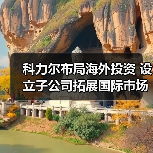 科力尔布局海外投资 设立子公司拓展国际市场（图3）