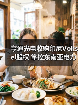 亨通光电收购印尼Voksel股权 掌控东南亚电力布局（图3）