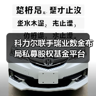 科力尔联手瑞业数金布局私募股权基金平台（图2）