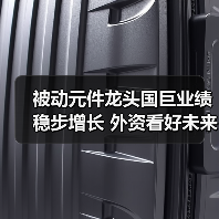被动元件龙头国巨业绩稳步增长 外资看好未来潜力（图4）