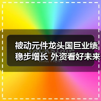 被动元件龙头国巨业绩稳步增长 外资看好未来潜力（图2）