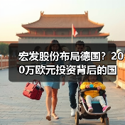 宏发股份布局德国？200万欧元投资背后的国际化战略（图2）