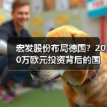 宏发股份布局德国？200万欧元投资背后的国际化战略（图4）