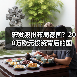 宏发股份布局德国？200万欧元投资背后的国际化战略（图3）