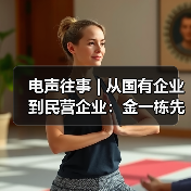 电声往事 | 从国有企业到民营企业：金一栋先生访谈（二）（图3）