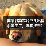 美系射频芯片巨头出售中国工厂，谁将接手？（图3）