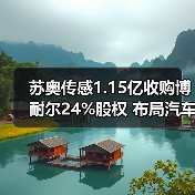 苏奥传感1.15亿收购博耐尔24%股权 布局汽车产业链（图3）